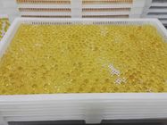 Food Grade Plastic Drying Trays Pengeringan Farmasi Untuk Kapsul Softgel dan paintball