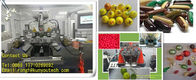 Mesin Enkapsulasi Gelatin Lembut Sayuran Dengan Pati / Carrangeen
