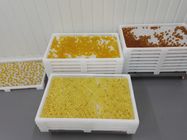 Food Grade Plastic Drying Trays Pengeringan Farmasi Untuk Kapsul Softgel dan paintball