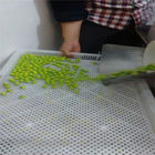 Food Grade Metal / Plastic Drying Trays Untuk Mengeringkan Permen Kapsul