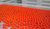 Mesin Enkapsulasi Paintball Bulat Eksperimental Dengan Sakelar / Tombol HMI