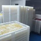 5cm Food Grade Ppe Plastic Drying Trays Dan Trolly