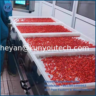 Kualitas  Food Grade Plastic tray and trolly with size 750*550*45 for drying in discoult pabrik