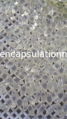 3Kw Pharmaceutical Softgel Filling Machine Mesin Pembuat Kapsul