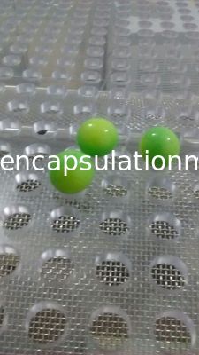 Mesin Pengisian Kapsul Otomatis Penuh Listrik Dengan Layar Sentuh PLC Aliran Udara Besar