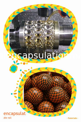 Mesin Enkapsulasi Paintball 50 / 60HZ Kustom Dengan Kontrol PID