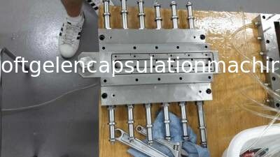 Bagian-bagian Mesin Pengisi Kapsul Ss Isi Bahan Injeksi Plungers Pump Softgel Encapsulation