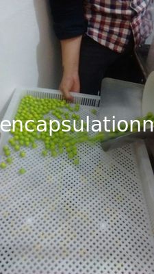 Mesin Pembuat Paintball Listrik Softgel Enkapsulasi Efisien Tinggi Skala Besar