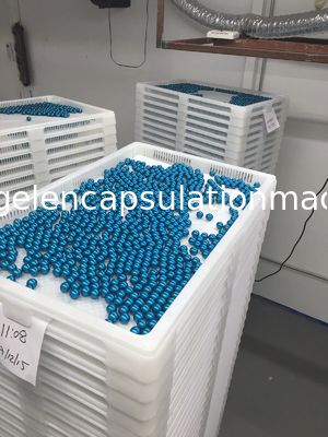Berbagai Nampan Pengeringan Plastik Warna Dan Bahan APD Trolly Food Grade 75 * 55 * 5cm