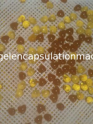 Mesin Enkapsulasi Vgel Otomatis Skala Mikro Untuk Kapsul Minyak Madu / Cbd