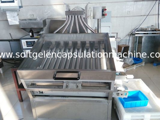 6 "Jalur Mesin Enkapsulasi Softgel Dengan Pengumpanan Otomatis Tanah, 880X640X1900mm