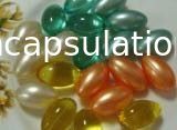 Mesin Uji Kekerasan Softgel Untuk Kapsul Lunak Dan Produksi Enkapsulasi Paintball