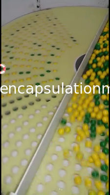 Softgel Capsule Inspeksi Menghitung Dan Mesin Pengemasan Garansi 1 Tahun