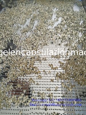 Mesin Enkapsulasi Gelatin Lembut 380V / 220V Mulus Dengan Garansi 1 Tahun