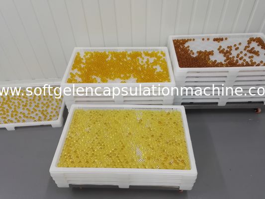 Food Grade Plastic Drying Trays Pengeringan Farmasi Untuk Kapsul Softgel dan paintball