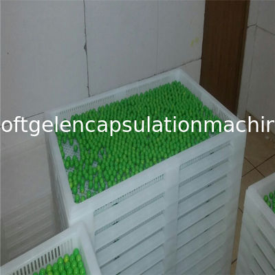 Baki Plastik Stackable Food Grade Ringan / Baki Pendingin 762 * 495 * 55mm