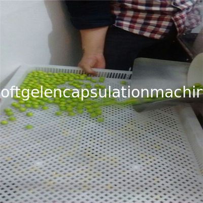 Food Grade Metal / Plastic Drying Trays Untuk Mengeringkan Permen Kapsul