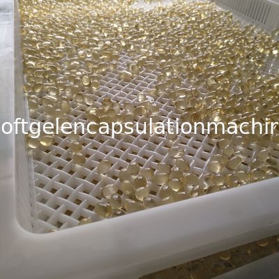 Kapsul Softgel Baki Pengeringan Plastik Bantalan Suhu Tinggi Warna Disesuaikan