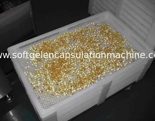 Food Grade Plastic / Metal Tray Dan Trolly Untuk Mengeringkan Permen Kapsul