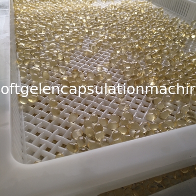 Baki Pengeringan Plastik Food Grade Putih Untuk Kapsul Softgel Dan Paintball