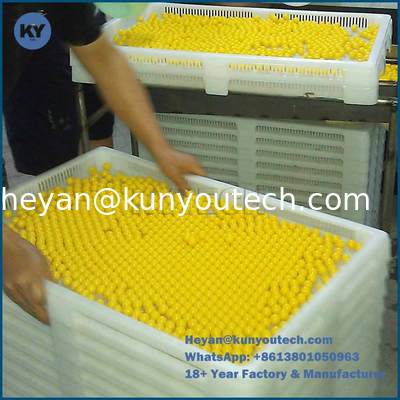 Propene Polymer Baki Plastik Besar Food Grade 780 * 495 * 55mm Dengan Lubang 4mm