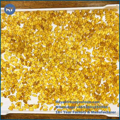 Baki Plastik Stackable Food Grade Ringan / Baki Pendingin 762 * 495 * 55mm