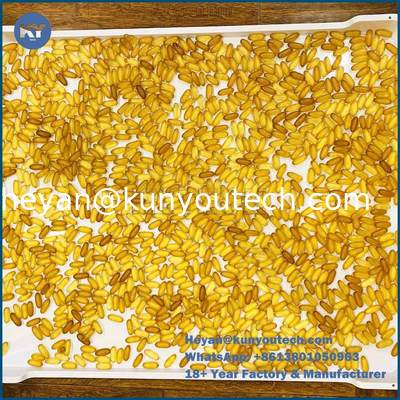 PP/ABS Material flat bottom Plastic Drying Tray 758x608x40mm untuk pengeringan kapsul