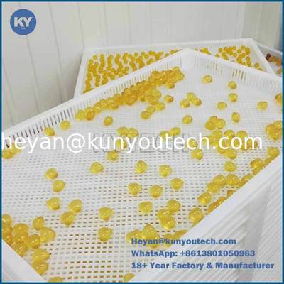 Tray pengering plastik PP kelas makanan 758x608x40mm