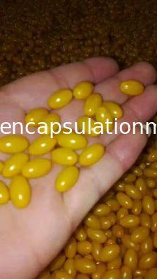 Aluminium / Kuningan Alloy Soft Capsule Mould Die Roll Tolling 80 * 100mm ISO9001