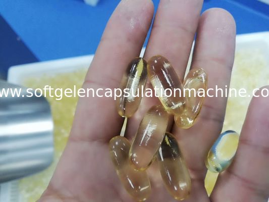 Mesin Enkapsulasi Gelatin Lembut Minyak Canabis Untuk Perusahaan Farmasi