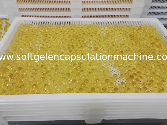 Nampan Pengeringan Plastik Obat