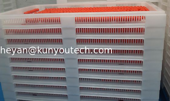 Baki Plastik Stackable Food Grade Putih / Baki Pendingin 762 * 495 * 55mm