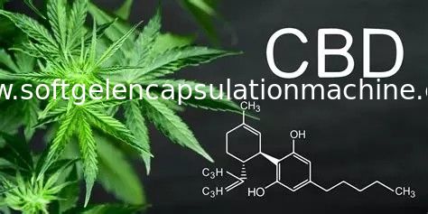 Lab Mesin Enkapsulasi Softgel Otomatis digunakan untuk pengisian minyak CBD pasar AS