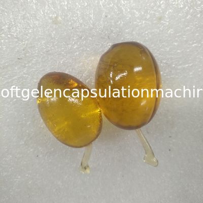 Mesin Kapsul Softgel Minyak Ikan Skala Besar 10 Inch / Mesin Enkapsulasi S610