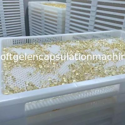 S403 Roll Type Soft Capsule Paintball Machine Lini Produksi Otomatis 4 Inch Die Roll