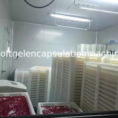 Mesin Kapsul Gel Lembut Industri Farmasi Bahan Mesin SS316