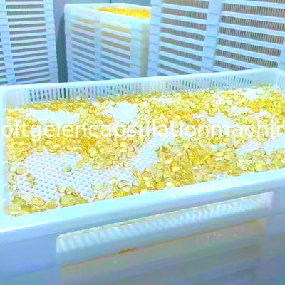Ukuran Besar 78 * 50 * 6cm Nampan Pengeringan Plastik Softgel Anti Suhu Tinggi