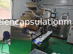 Mesin Enkapsulasi Softgel 6 RPM Minyak Ikan Dan Pasta Isi 120000 Pcs/H