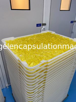 Pp Abs Flat Bottom Ppe Ce Baki Pengeringan Plastik 5cm Dalam Pengeringan Kapsul