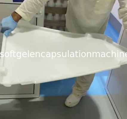 Nampan Pengeringan Plastik PPE Food Grade Aman Dan Ketangguhan Trolly Kuat ISO9001