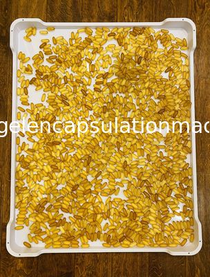 Softgel Pills 00 # Mesin Sortasi Kapsul Untuk Industri Farmasi