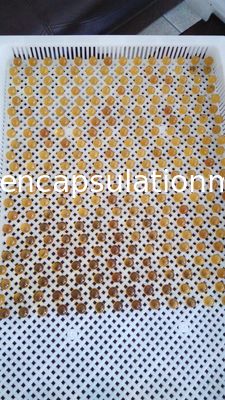 Mesin Softgel Mulus Pemotongan Pulsant