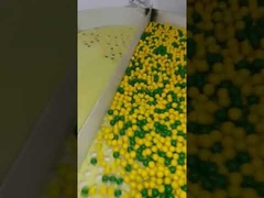 MESIN PENGEMAS PAINTBALL