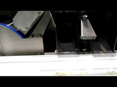 MESIN ENKAPSULASI PAINTBALL SOFTGEL