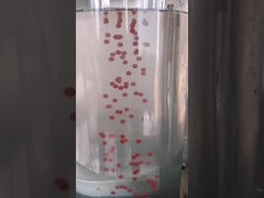 Minyak Canabis Minyak Zaitun 13kw Mesin Enkapsulasi Softgel