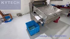 Softgel Capsule Sorting Machine (Mesin Pengurut Kapsul Softgel)