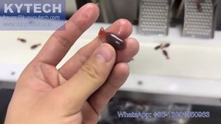 Mesin Enkapsulasi Softgel Servo Berbentuk Ikan